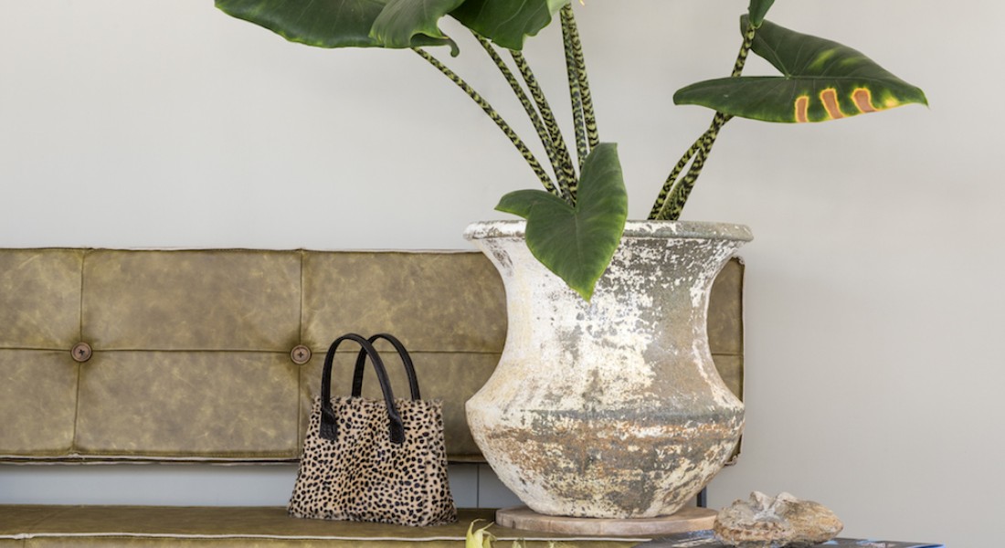 Groen is dé trend voor het interieur