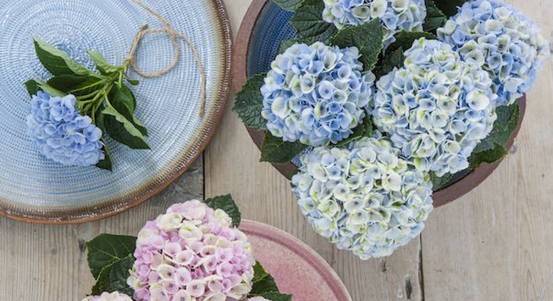 Flowerpower challenge