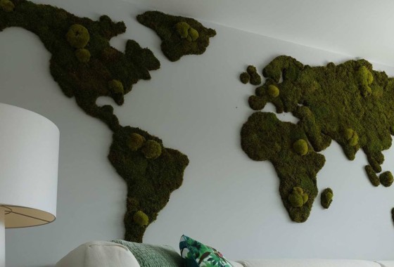 Groene wereldkaart op de muur! - Moswens