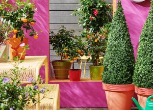 Onderzoek naar de balkontrends van 2017 - 