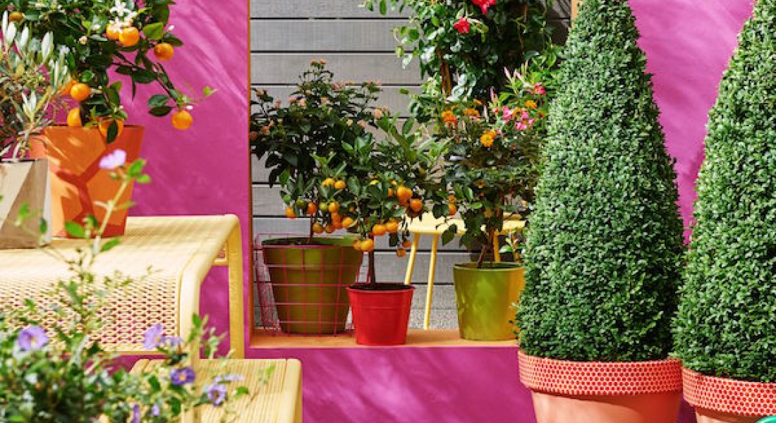 Onderzoek naar de balkontrends van 2017