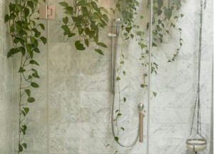 Badkamer decoreren met planten: waar moet je aan denken? - 