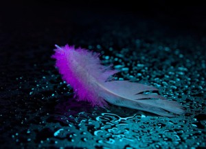 Vloertrends 2025: Lavasteen gietvloeren voor een robuuste look - 