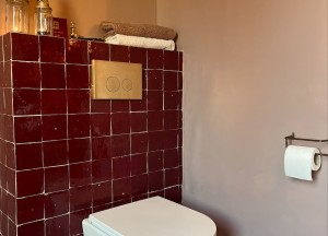 Zellige Bordeaux Rouge | Designtegels