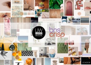 Interieuradvies wordt makkelijker met BNS Crisp - 