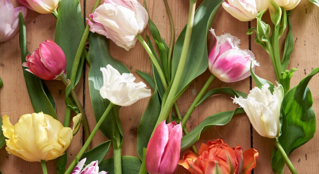 Het is bijna tulpentijd en dat betekent kleur in het interieur!