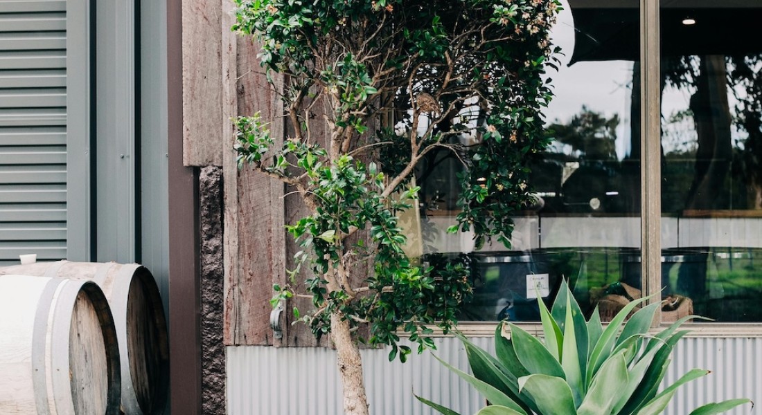 Inspiratie nodig voor je tuin? Vind alles wat je nodig hebt bij de Woonwinkel in Soest