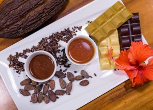 Bakken met cacao nibs: een heerlijke en gezonde toevoeging aan jouw baksels - 