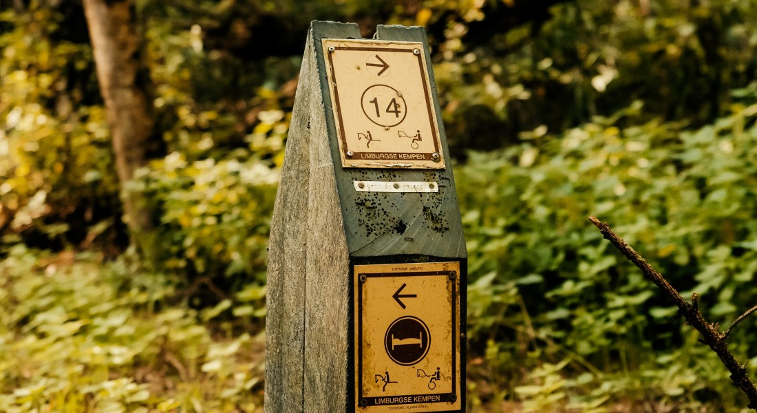 Hoe zorg je voor een groenere buurt?