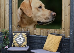 Tuinposters: dé zomerse trend van dit jaar - 