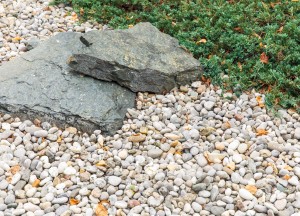 Compost en split: de perfecte match voor verhoogde plantbedden - 