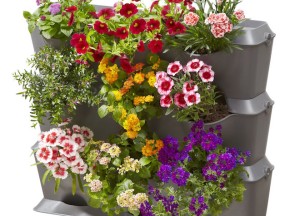 Verticaal tuinieren - 