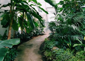 Kunstplanten voor in de tuin? Dat kan zeker! - 