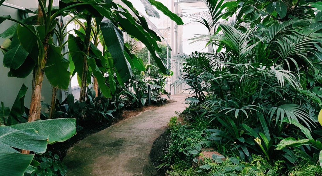 Kunstplanten voor in de tuin? Dat kan zeker!