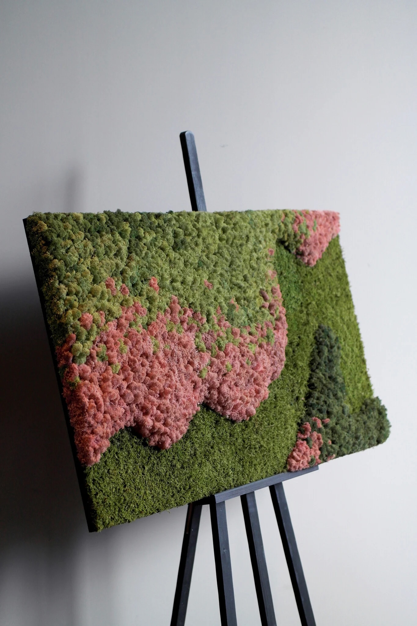 Mosrechthoek Caramello | Moswens