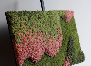 Mosrechthoek Caramello | Moswens - Moswens