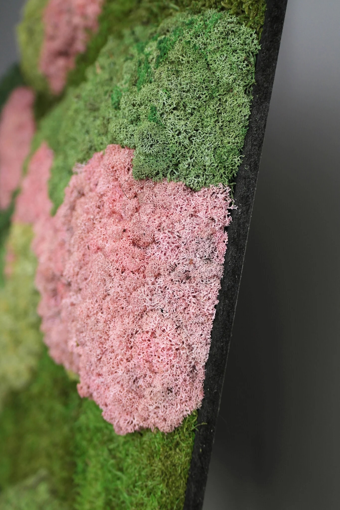 Mosrechthoek Pixi | Moswens