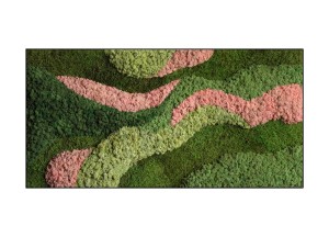 Mosrechthoek Pixi | Moswens