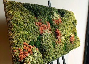 Mosrechthoek Vienna | Moswens - Moswens