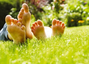 Biologische gazonvoeding - 