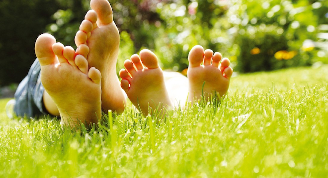 Biologische gazonvoeding