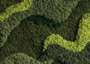 Groen momentje in de badkamer - 