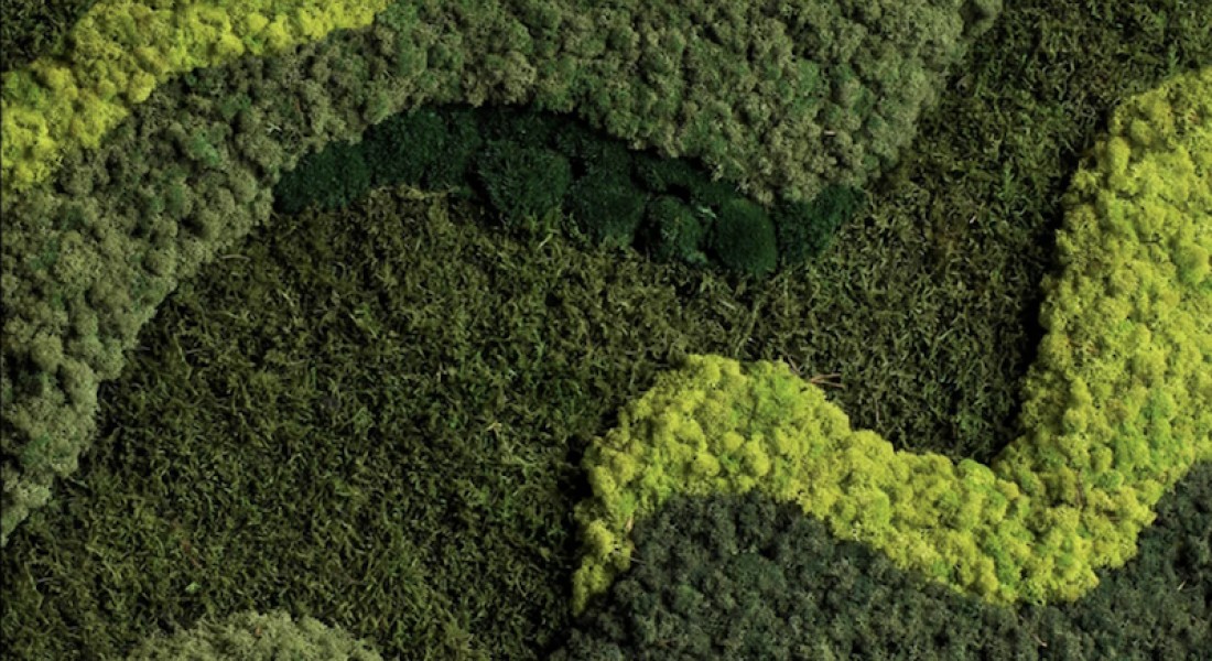 Groen momentje in de badkamer