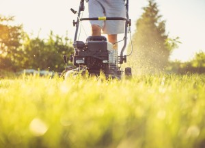 Je tuin lenteklaar maken: onze tips - 