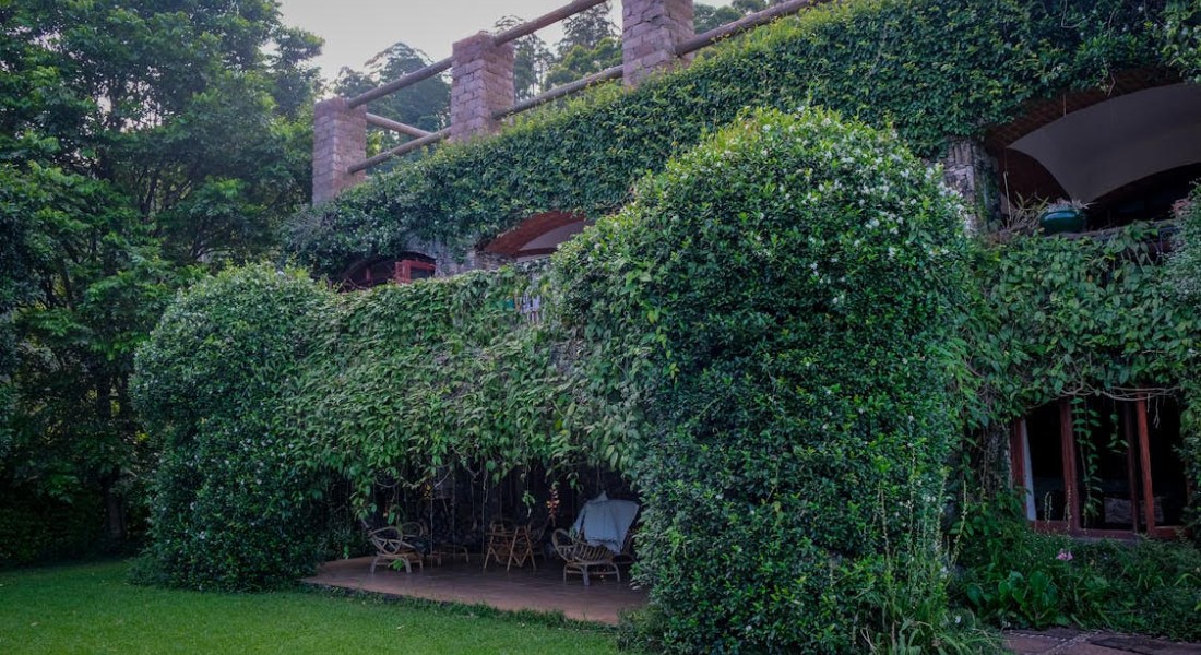 5 slimme manieren om je terras comfortabel te maken voor elk seizoen