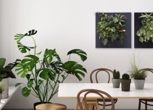 Natuur aan de muur - 