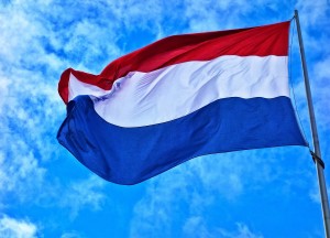 De kleuren van de Nederlandse vlag: trots in je tuin - 