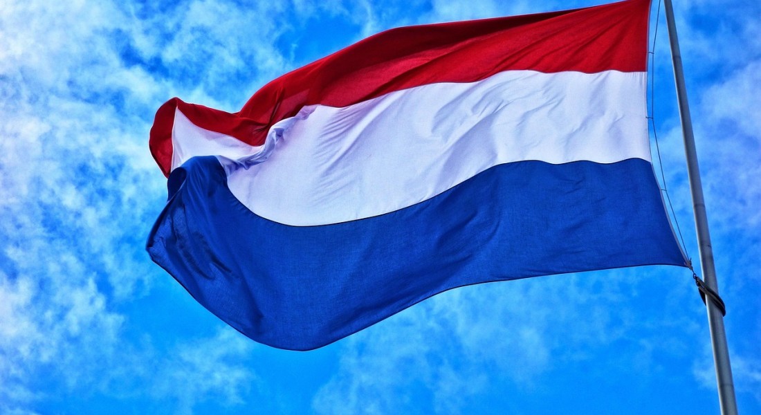 De kleuren van de Nederlandse vlag: trots in je tuin