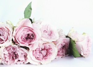 Woondecoratie met klasse: waarom zijdebloemen terug zijn van nooit weggeweest - 