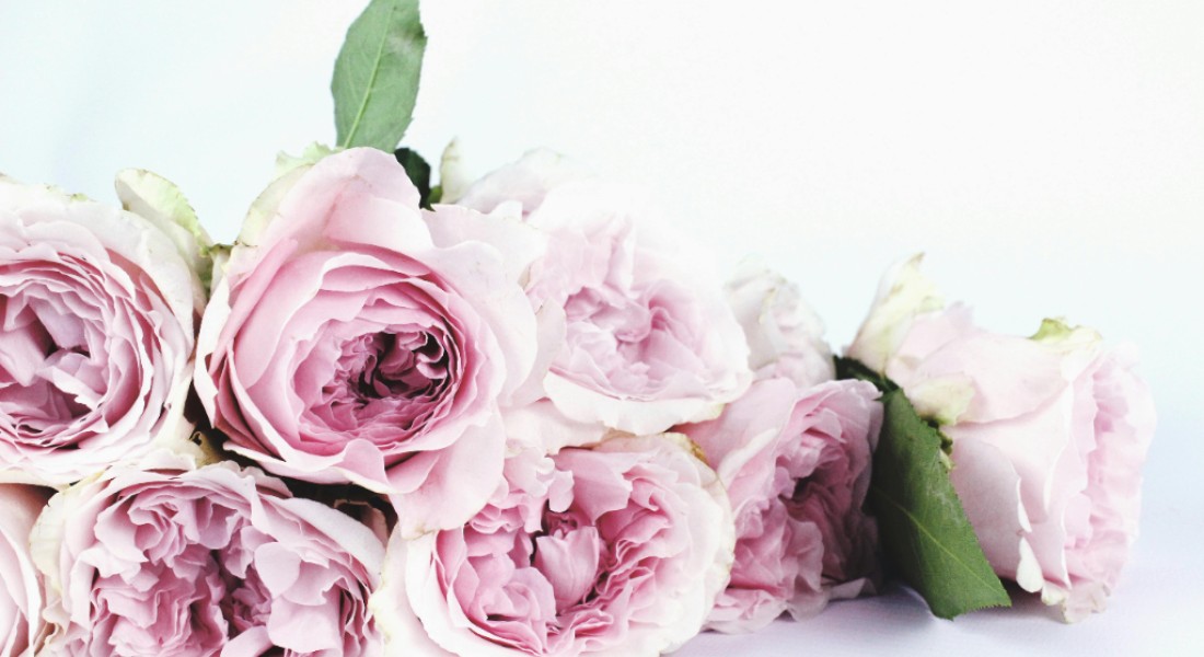 Woondecoratie met klasse: waarom zijdebloemen terug zijn van nooit weggeweest