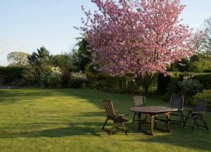 Zomerproof in een middag: fris je houten tuinmeubels weer op - 