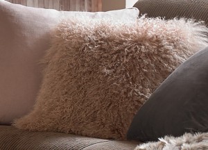 Kussens maken de sfeer - 