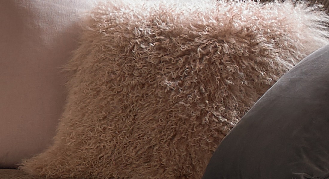 Kussens maken de sfeer