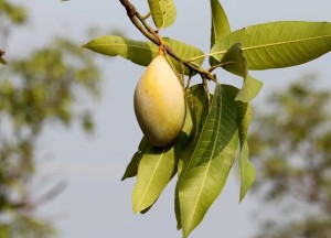 Zijn goede meubels altijd duur? - 