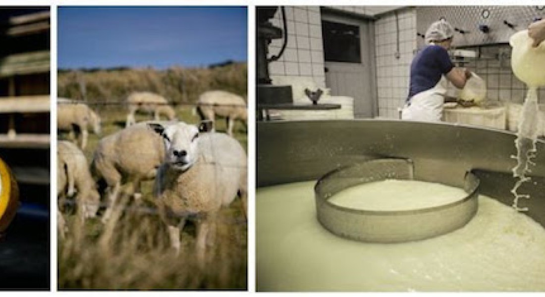 Hollandser kan het niet