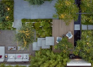 Een groene oase in de stad: Project Knops Tuindesign - 