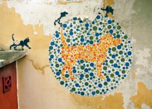 Verhuizen met je huisdier - 