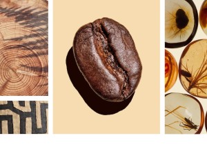 Moodboard Monday: Espresso Sunrise - 