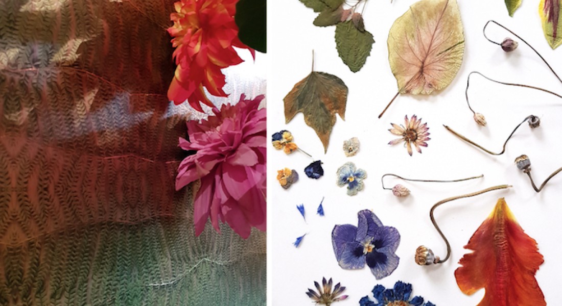 Amsterdams varenbehang