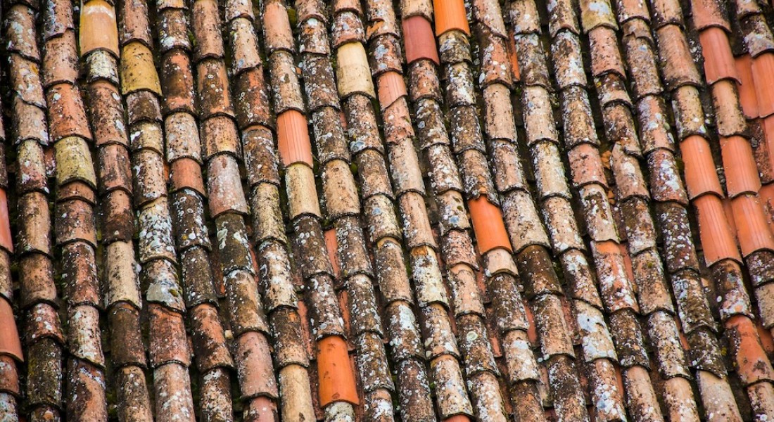 Dakpannen: duurzaamheid, stijl en waarde voor je woning!