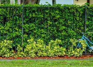 Onmisbare basis voor natuurlijke tuinafscheidingen - 