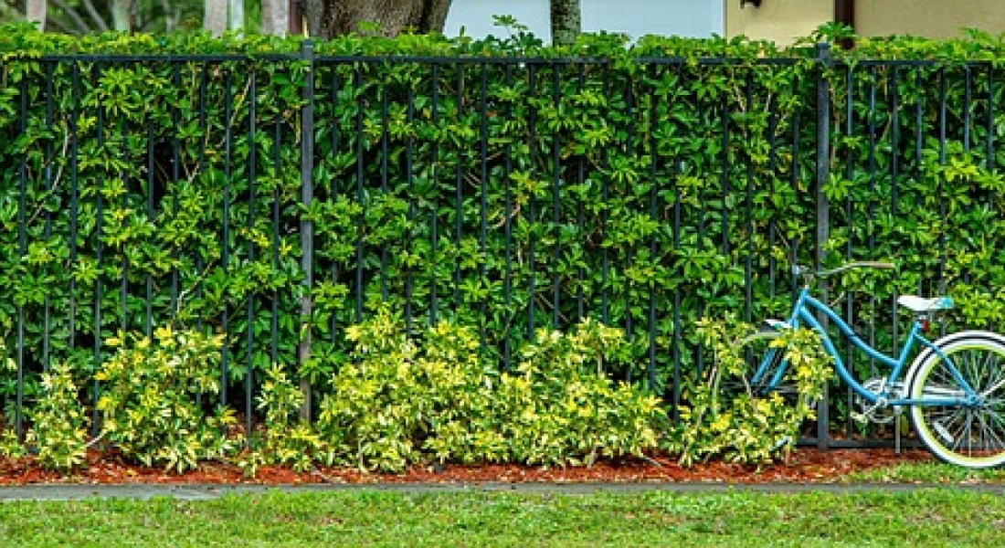 Onmisbare basis voor natuurlijke tuinafscheidingen