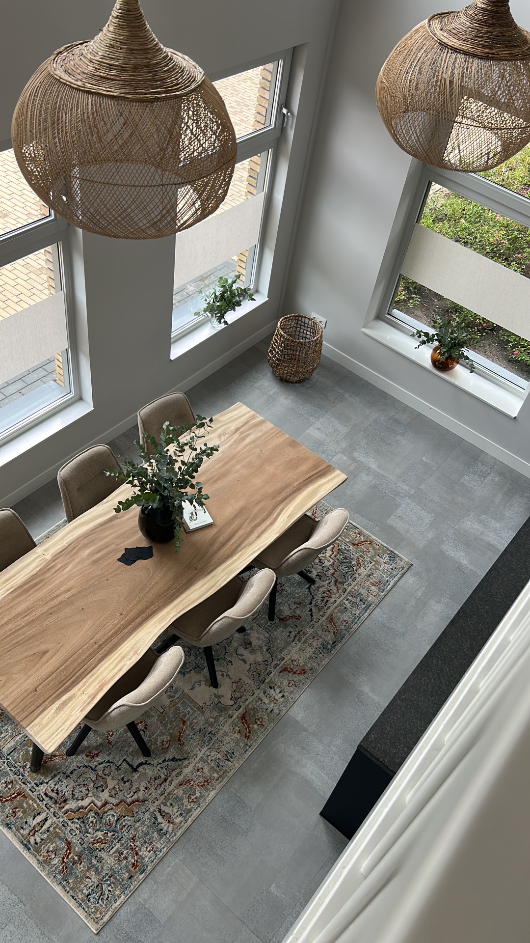 Boomstamtafel Suar | Puurteak