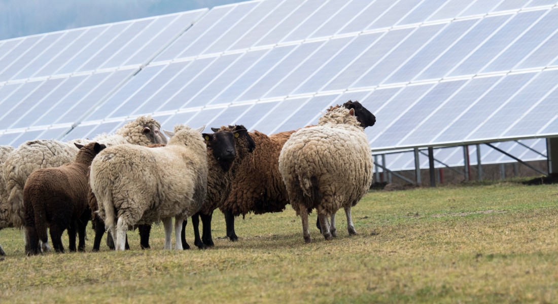 Duurzaam comfort: vloerverwarming combineren met zonnepanelen of warmtepomp