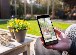 Handige app: Zo geef je op tijd je planten water - 