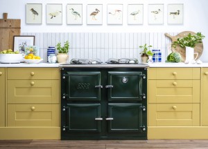 ESSE 1000 T PRO | Elektrisch - Esse Cookers & Stoves